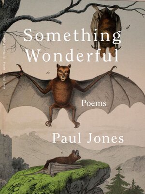 cover image of Something Wonderful